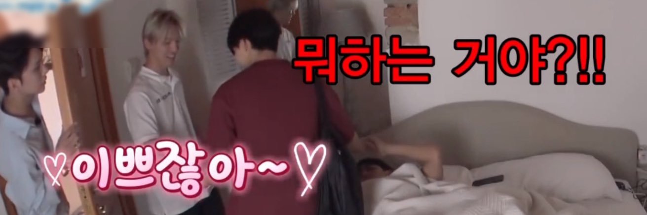 네모의 밍쫑's banner