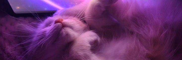 Suzane🎀's banner