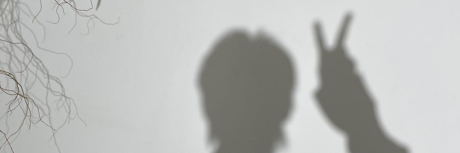 藤岡真威人's banner