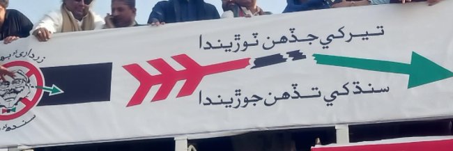 Ali Raza's banner