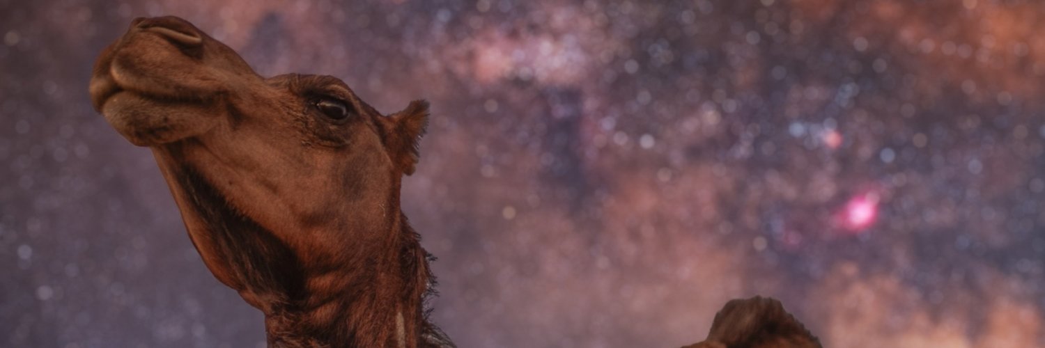 Bakry | بكري 🛰's banner