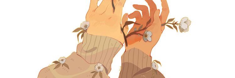C's banner