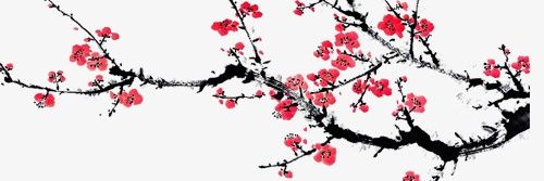 na na🌸✨ft.没有空's banner