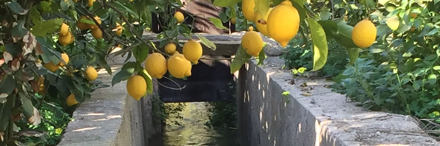 En un lugar de la Huerta's banner