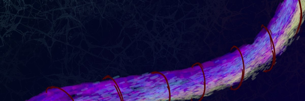 Sherane's banner