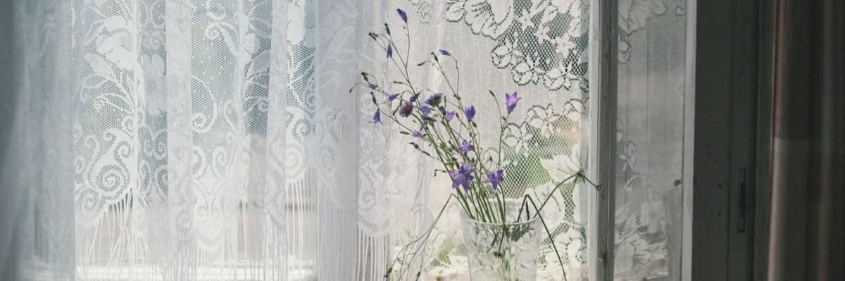 pino ♡'s banner