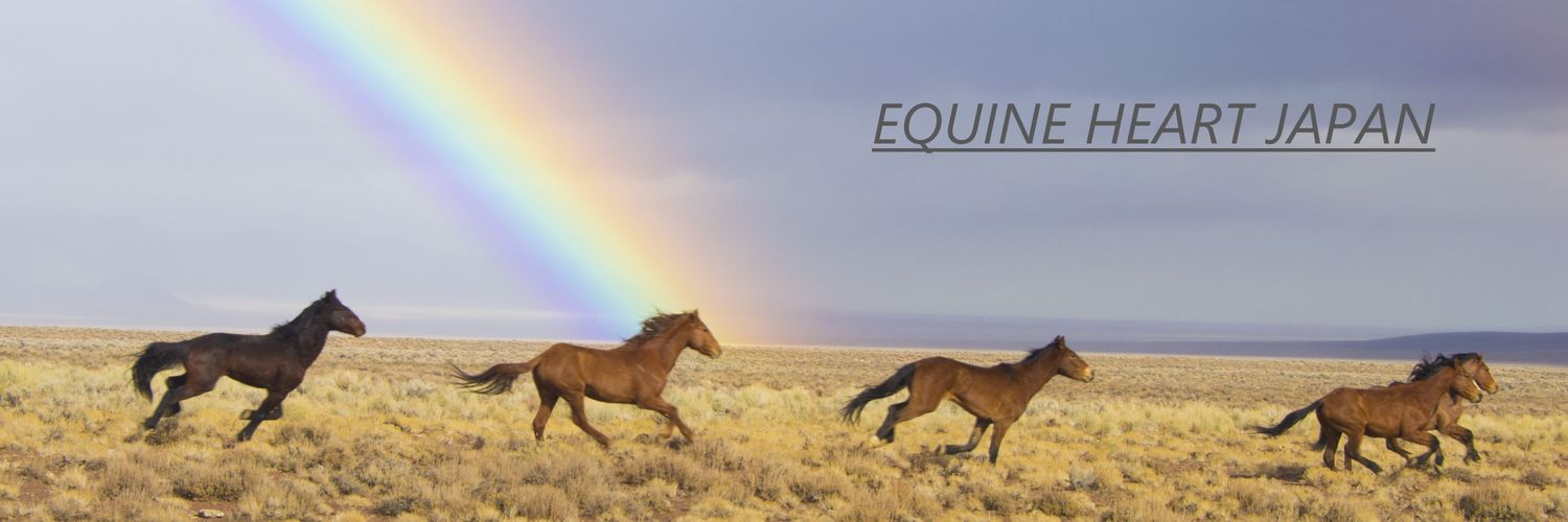 Equine Heart Japan's banner