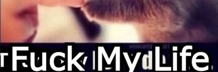 dude's banner
