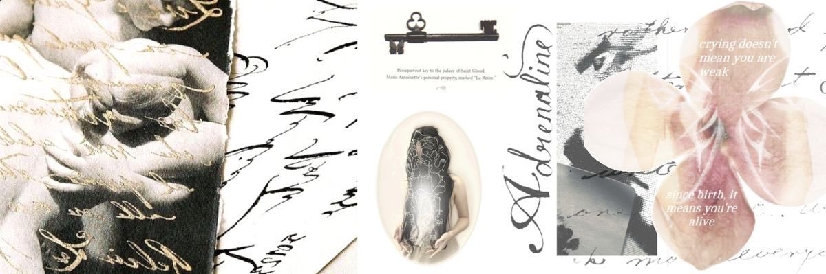 effie⋆˙⟡₊˚ vió a bts ⁷'s banner