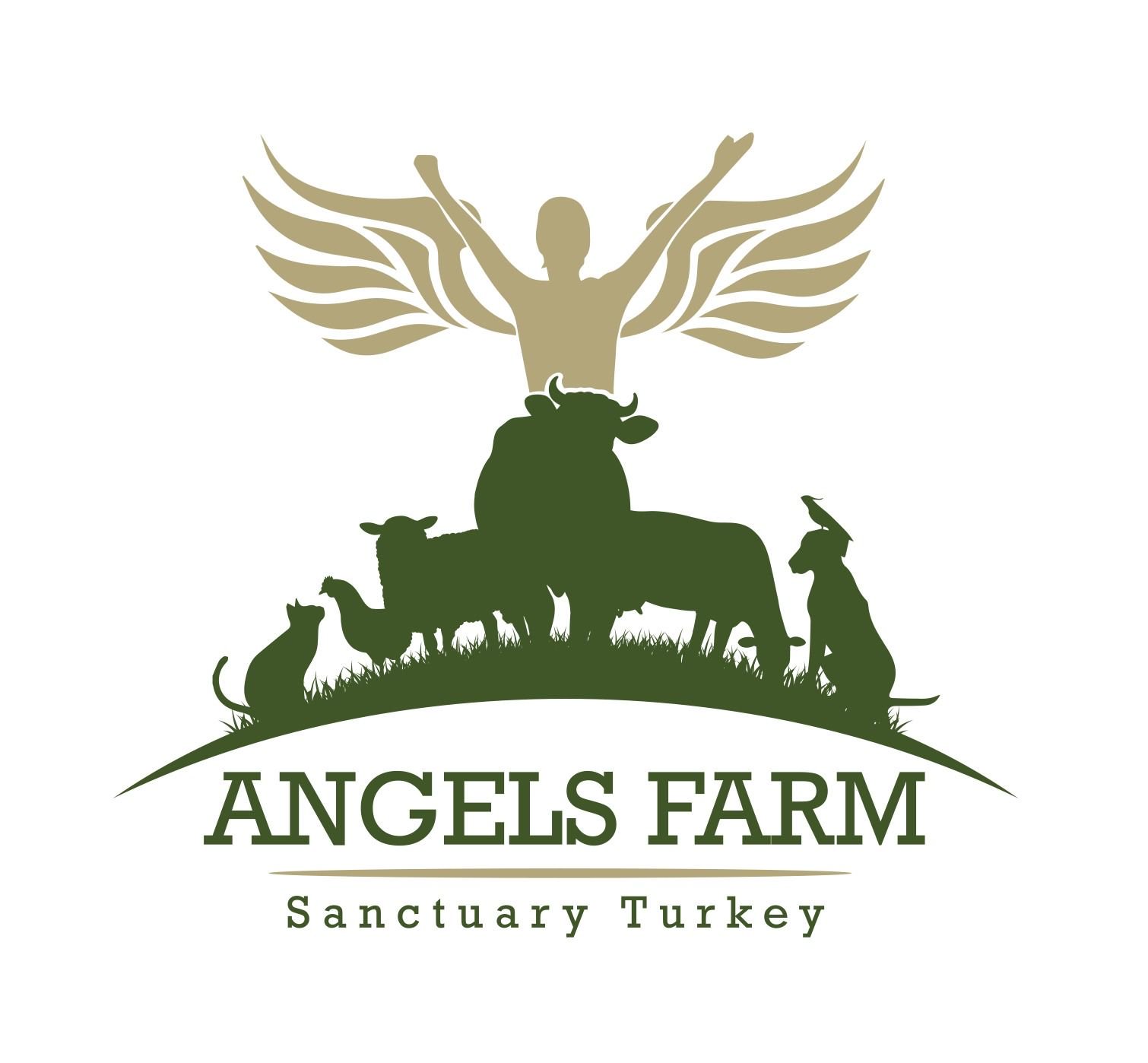 Angels Farm Sanctuary Turkey's banner