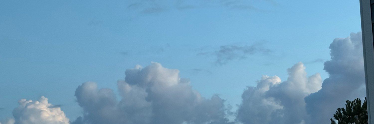t's banner