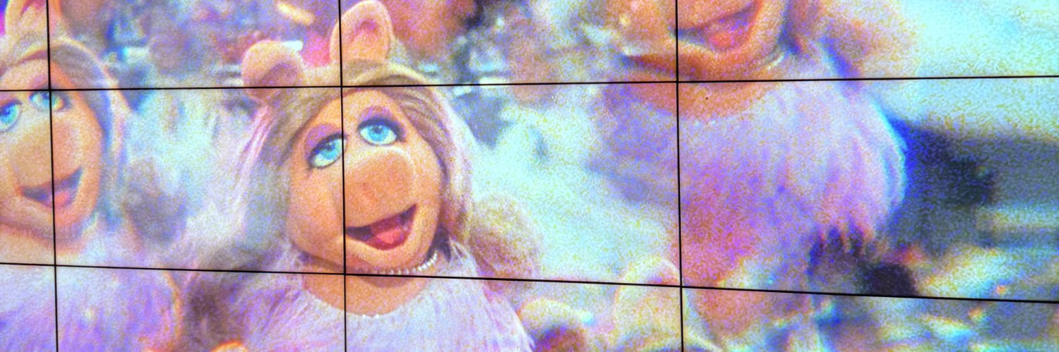 antonia ✌️💕's banner