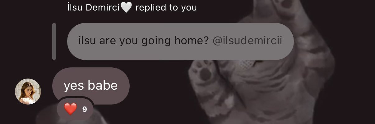 LeLe's banner