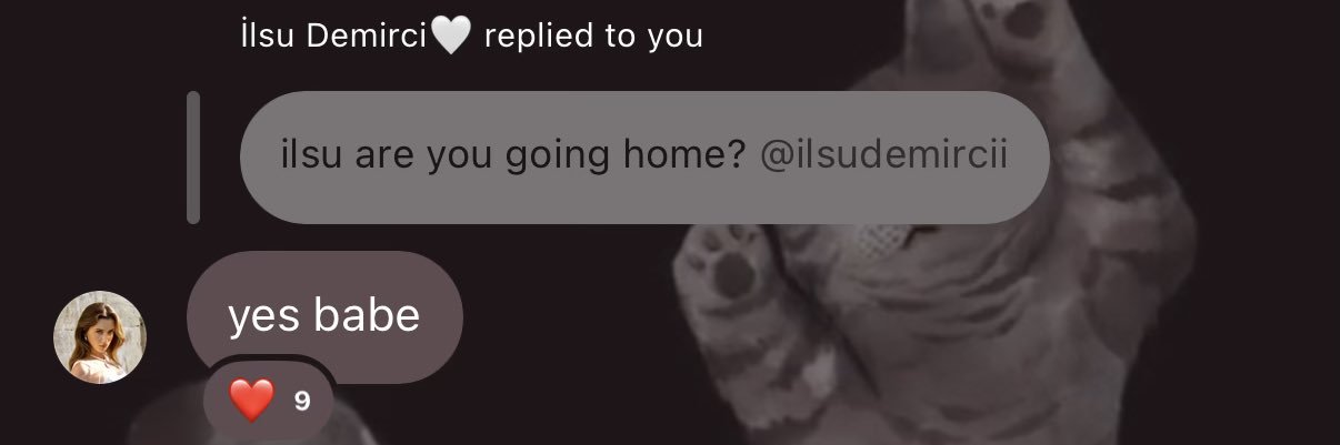 LeLe's banner