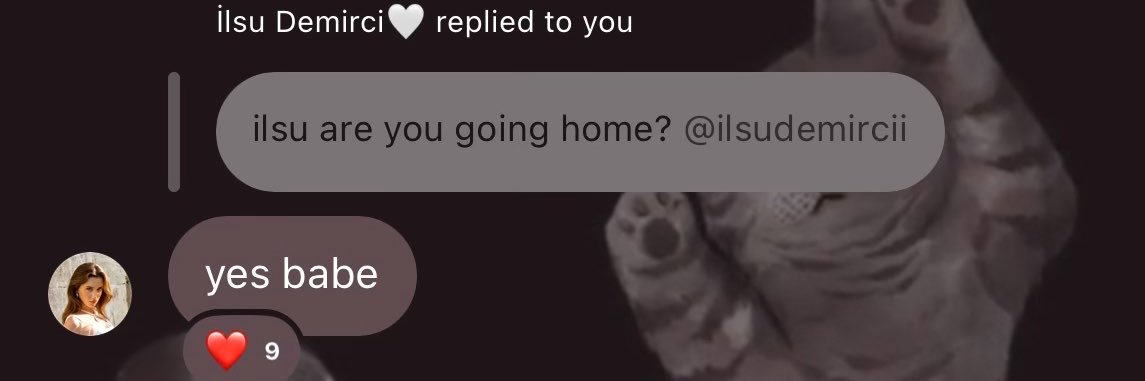 LeLe's banner