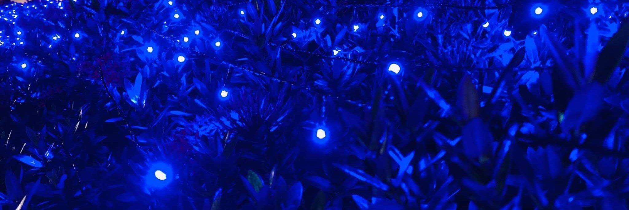 WN11♮ Mukximum ♮ BB0TO19's banner