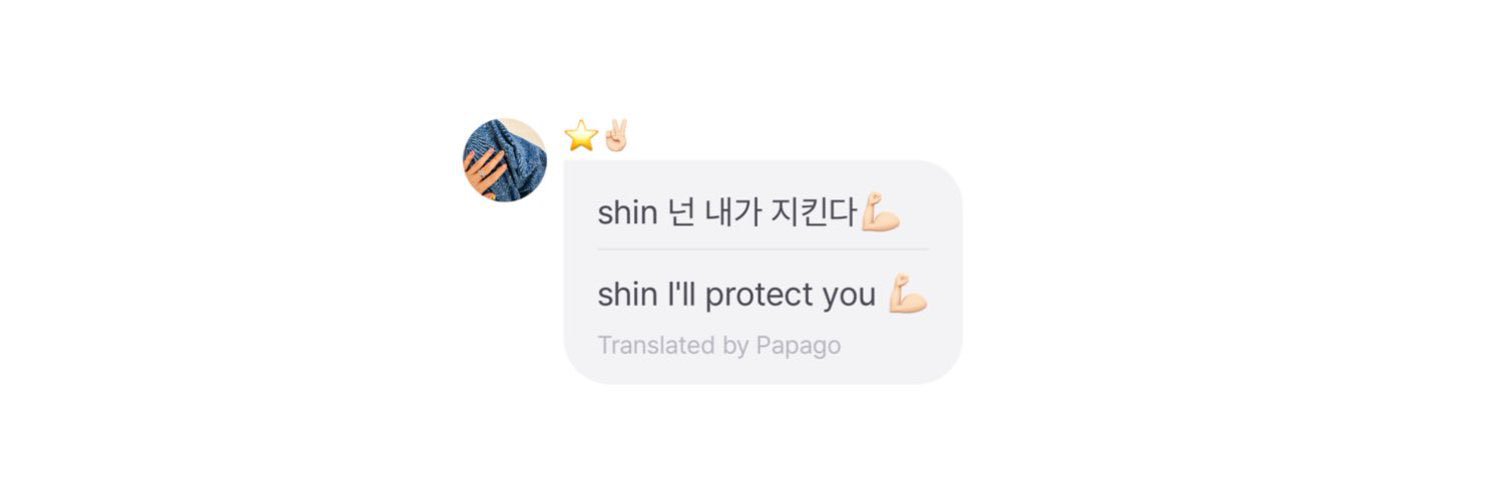 shin's banner