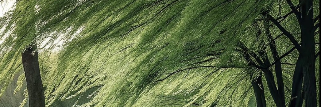 Damon Rell's banner