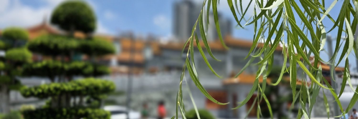 uperqz's banner