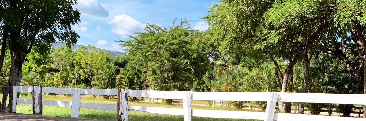 Dennys Garcia's banner