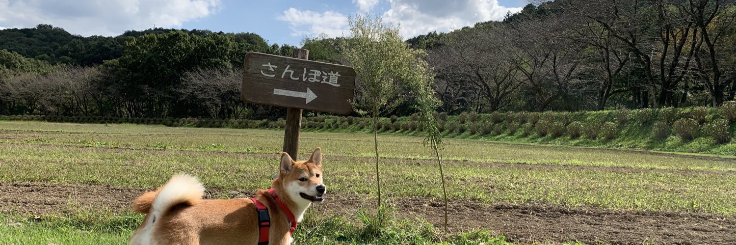 柴犬　りん's banner