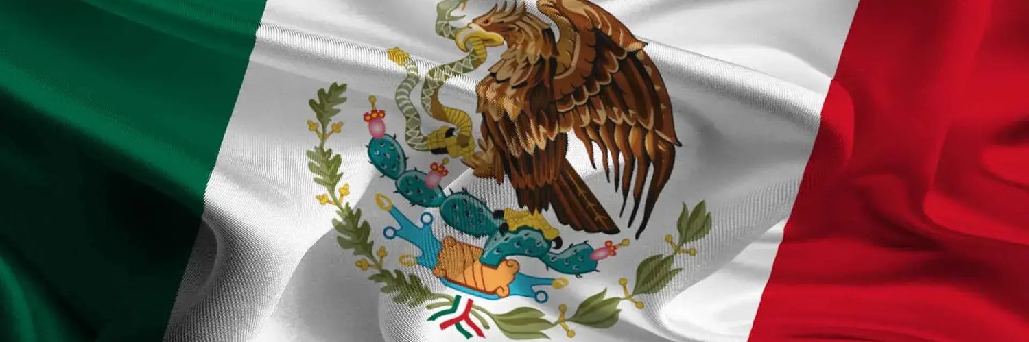 Ana Pat Arteaga Massieu's banner