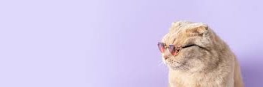 🍸 𝓐𝓷𝓪𝔂𝓪 🍸's banner