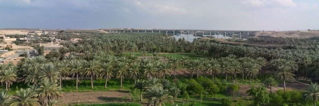 قلم باشط's banner