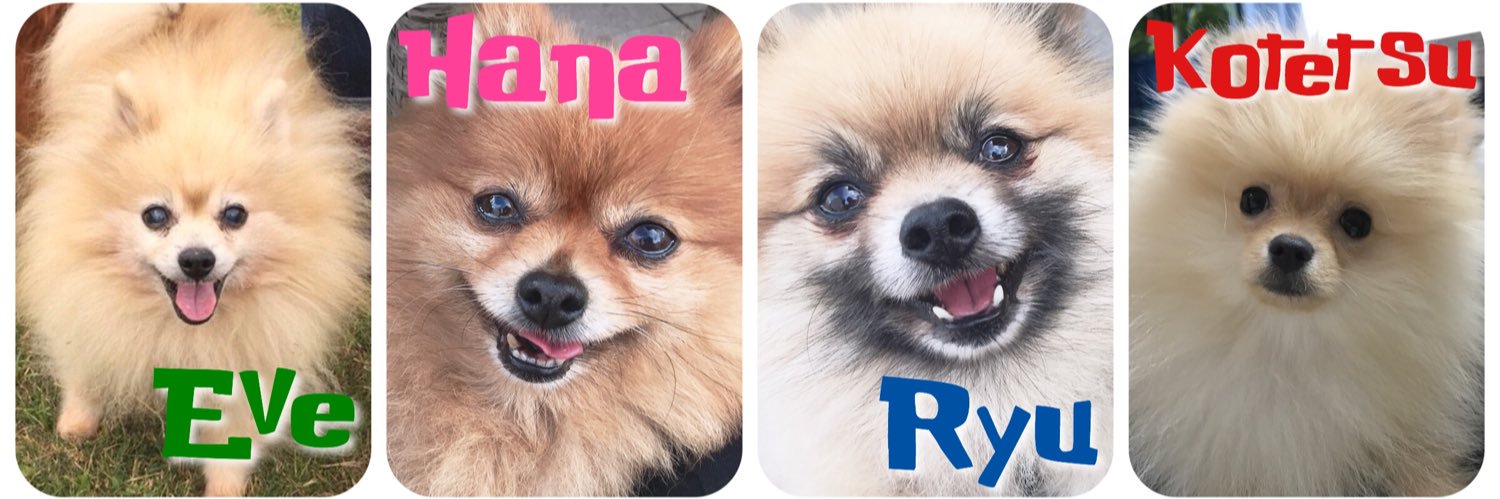 小鉄くん's banner