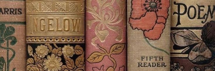 أمــــل 🦋's banner