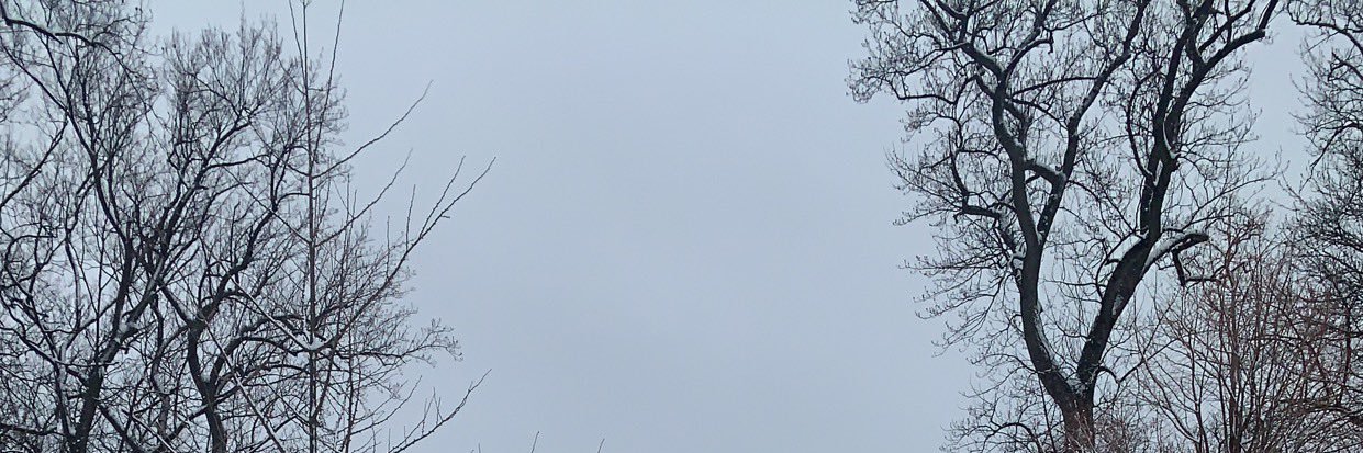 puzz 🦇's banner