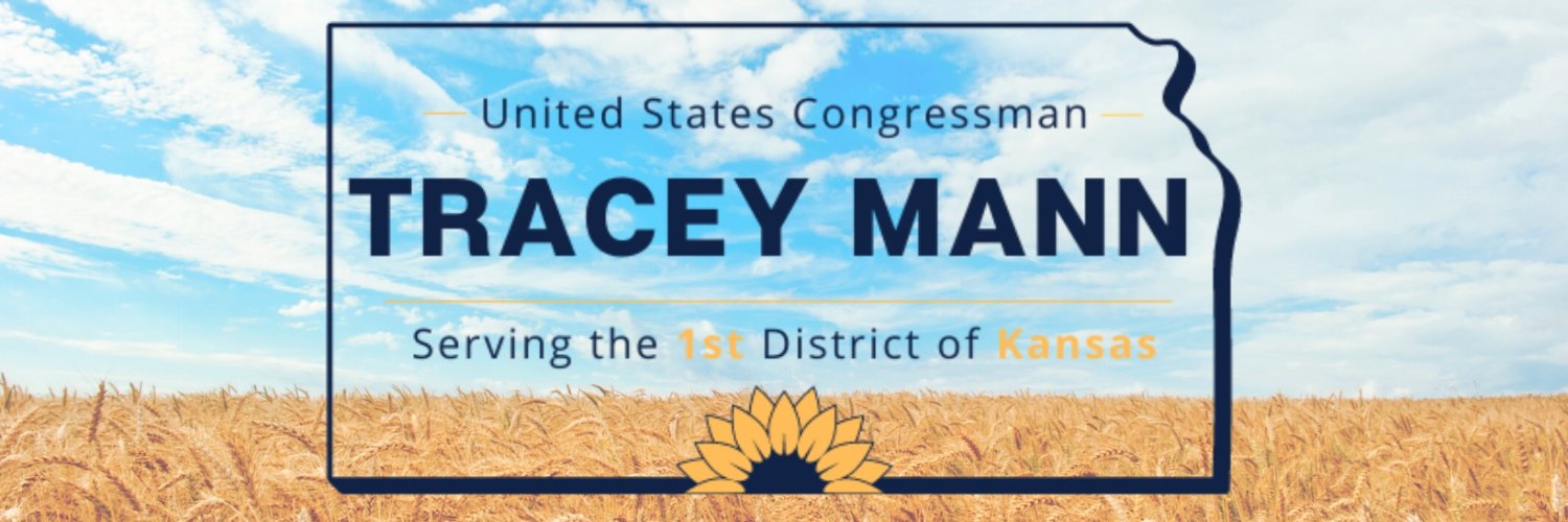 Rep. Tracey Mann's banner