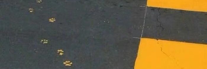 山下桦's banner