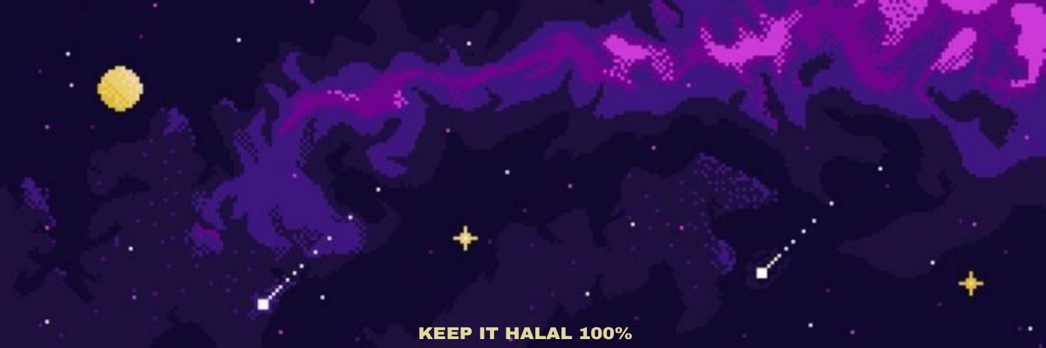 Halalboy𓃵's banner
