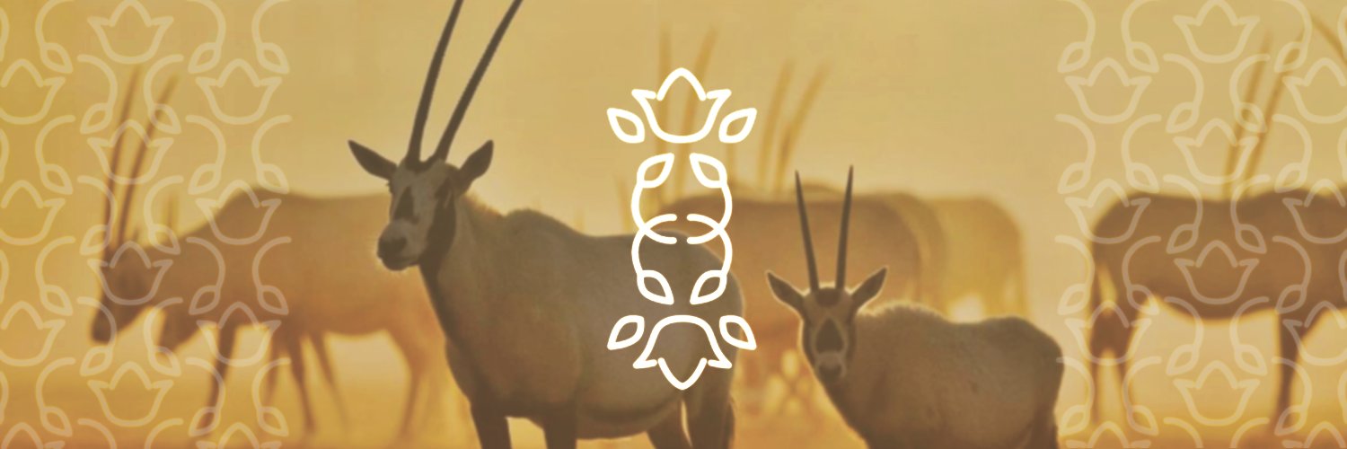 هيئة تطوير محمية الإمام تركي بن عبدالله الملكية's banner