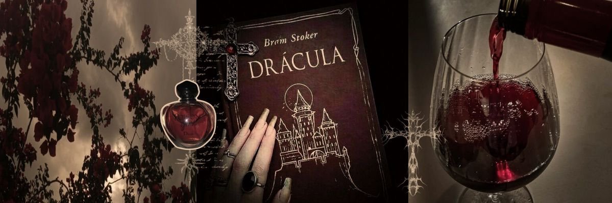 Elisabeta da Transilvânia🍷🪦's banner