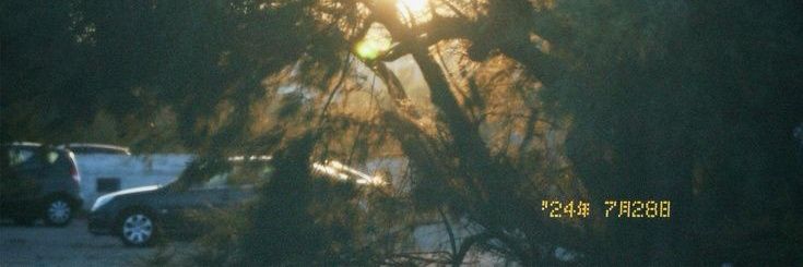 miaa ; 🍂's banner