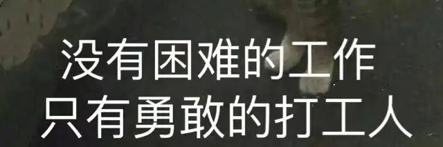 风花雪月's banner