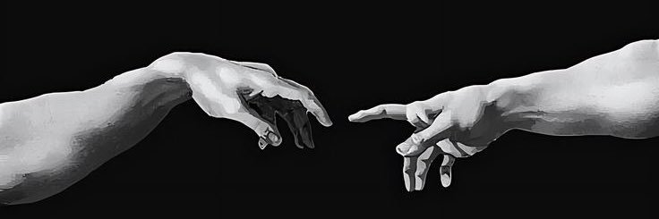 camelia's banner