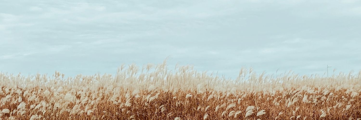 ᴡᴡ🌻's banner
