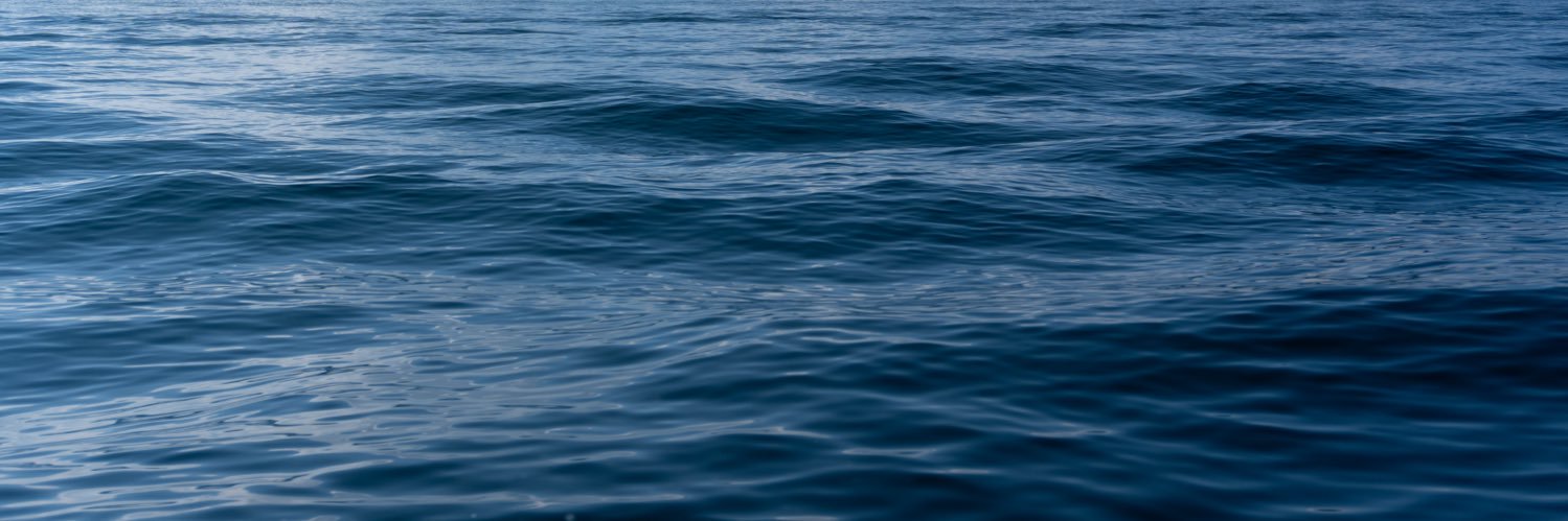 Jimena's banner