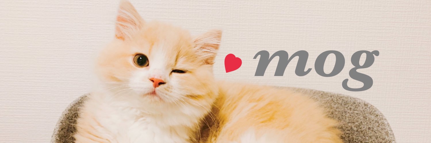 mog's banner