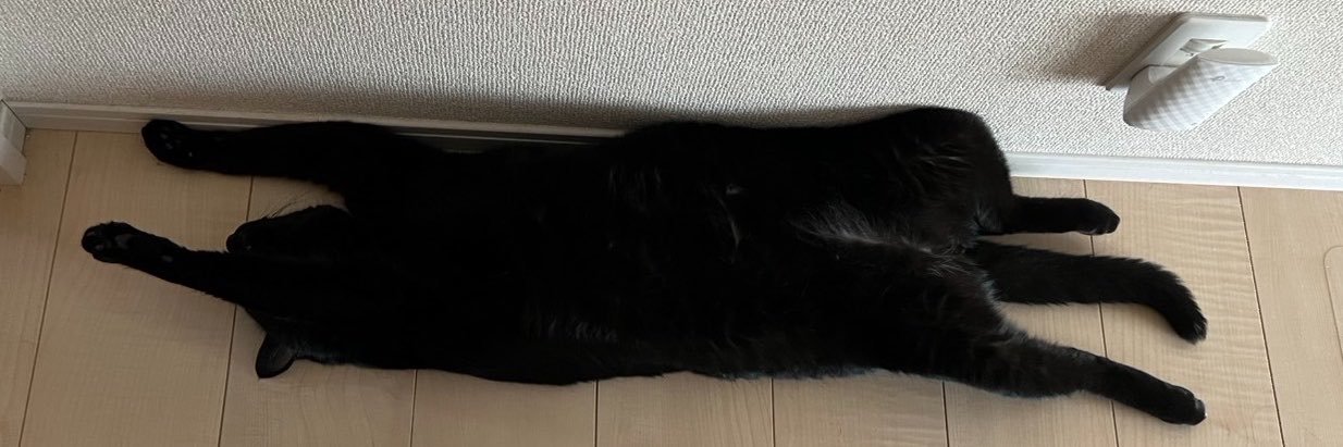 刀鍛冶すけみつ's banner