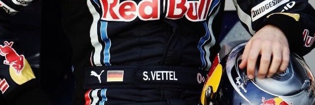 ree bull's banner