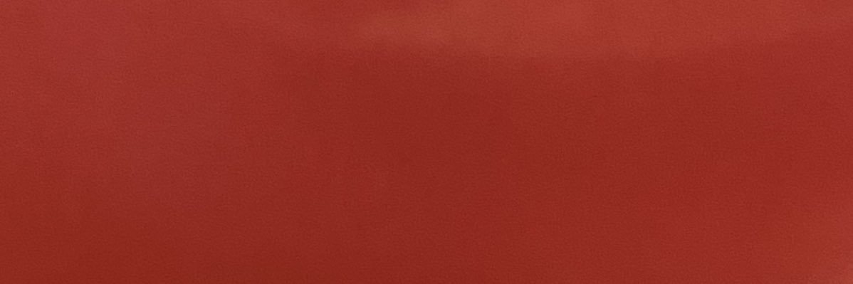 中華東東's banner