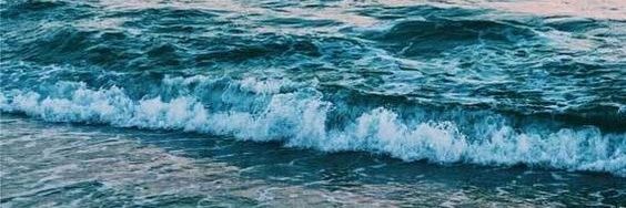 고래 업로드 하는 계정 🐋's banner