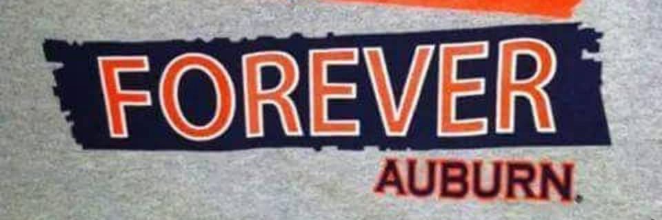 Beth Burch🇺🇸's banner