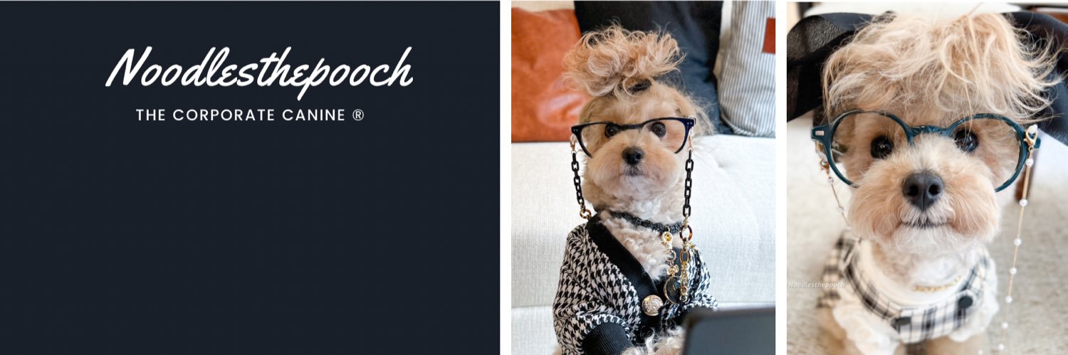 noodlesthepooch's banner