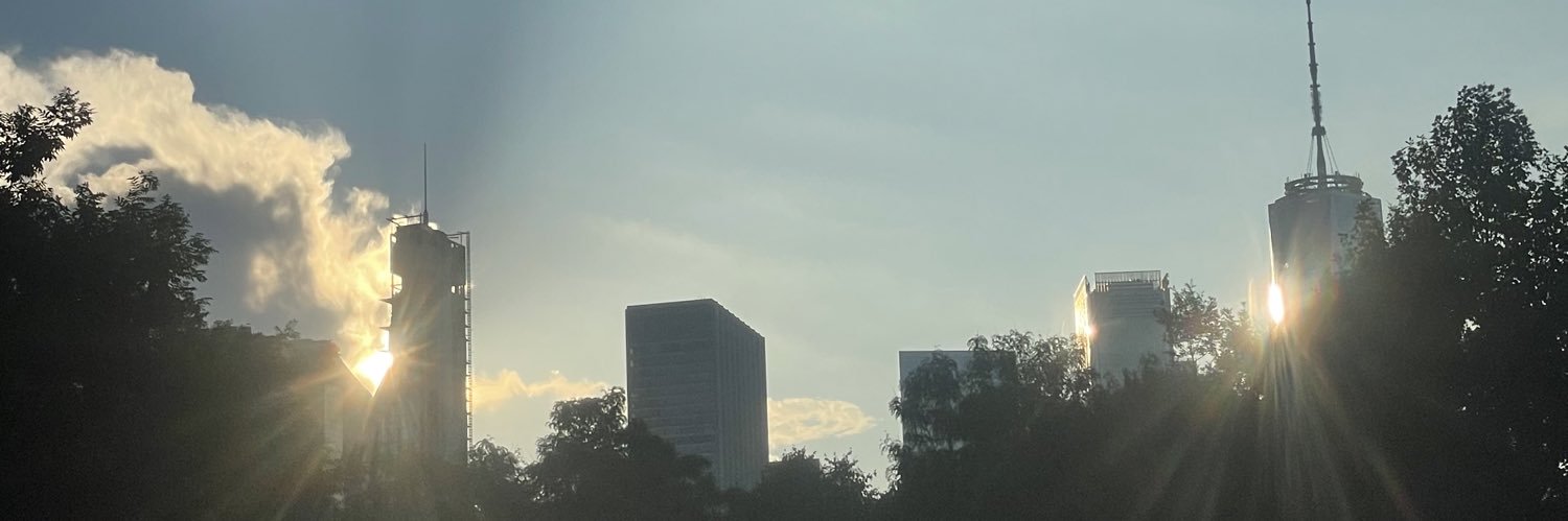 Julius's banner