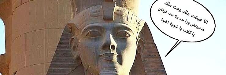 ENAS ELDEEB 🇪🇬's banner